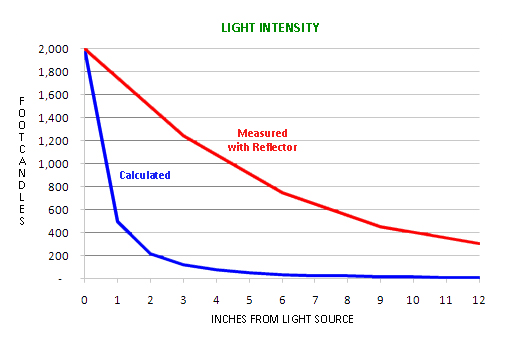 effect light intensity on photsynthesis effect light intensity on photsynthesis