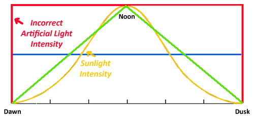 lightcompare